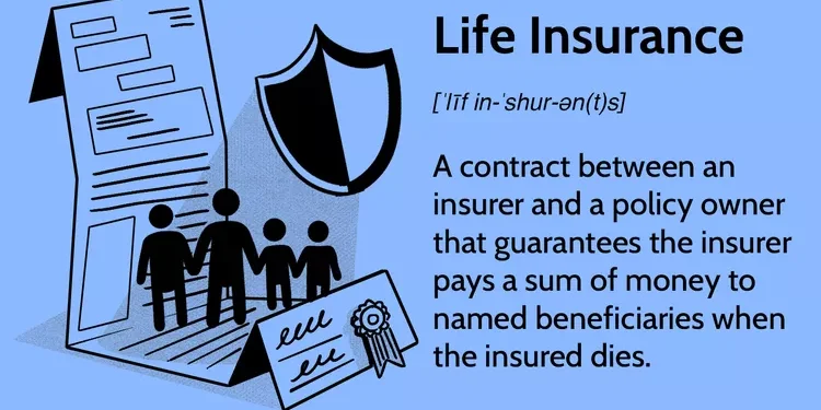 Term Insurance for Self-Employed vs. Salaried Individuals: Key Differences