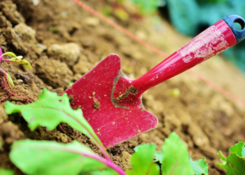 How to Choose the Right Forager Tools for Your Needs