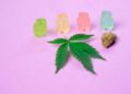 the Best Edibles for Your Needs