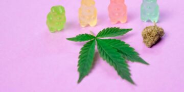 the Best Edibles for Your Needs
