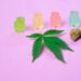 the Best Edibles for Your Needs