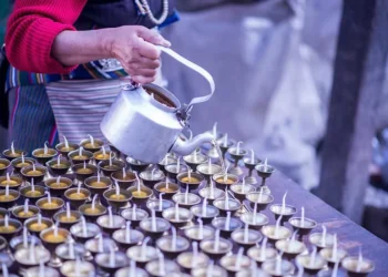 Top Business Ideas for Housewives to Earn Money