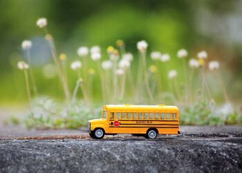 School Excursions: The Role of Field Trips in Experiential Learning