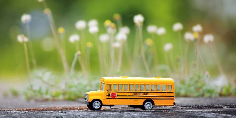 School Excursions: The Role of Field Trips in Experiential Learning
