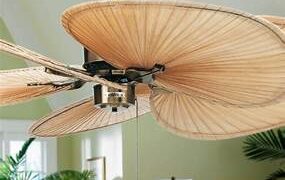 Why Ceiling Fans Are Ideal for Sydney’s Coastal Homes