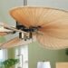 Why Ceiling Fans Are Ideal for Sydney’s Coastal Homes