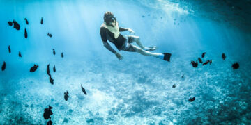 Best Dive Trips in Maldives