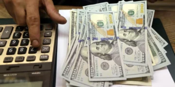 Maximising Non-Profit Impact with NFP Salary Benchmarking