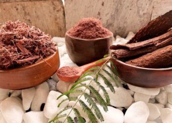 Mimosa Hostilis USA: The Ultimate Guide to Its Benefits, Uses, and Where to Buy