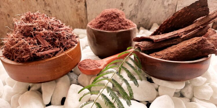 Mimosa Hostilis USA: The Ultimate Guide to Its Benefits, Uses, and Where to Buy