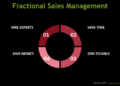Why a Fractional Sales Manager Might Be the Secret Weapon for Your Business