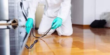 The Connection Between Cleanliness and Pest Control: What You Need to Know