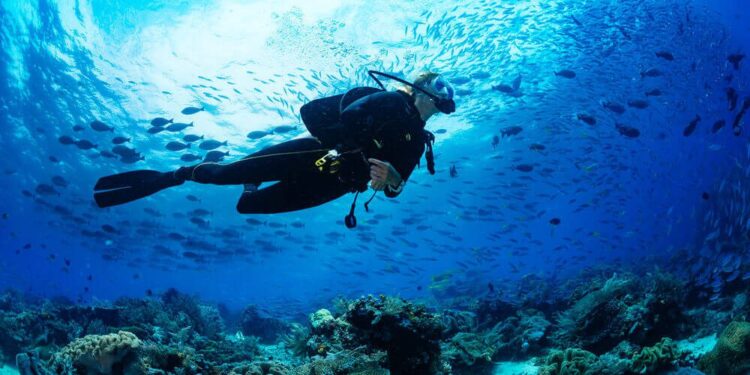 What to Expect from a Full Day Scuba Diving Tour in Key West and Why It’s Totally Worth It