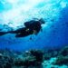 What to Expect from a Full Day Scuba Diving Tour in Key West and Why It’s Totally Worth It