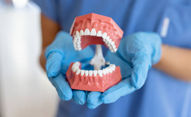 Top 5 Factors That Affect the Price of a Dental Crown