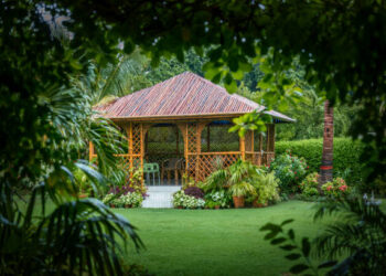 Bamboo Grass: Nature’s Versatile Green Giant