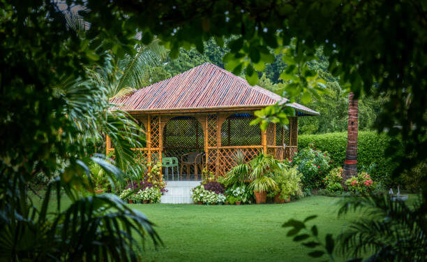 Bamboo Grass: Nature’s Versatile Green Giant