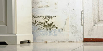 How to Prevent Mold from Taking Over After Flooding: A Complete Guide