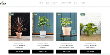Outdoor Plants