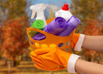 10 Seasonal Allergens a Professional Cleaning Can Help Control