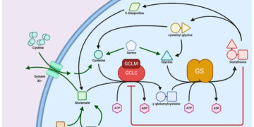 The Foundation of Good Research: Why Sourcing Quality Glutathione Matters