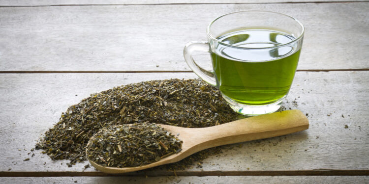 Unlocking the Health Secrets of Sencha Tea: Benefits and Wellness Tips