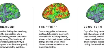 Psilocybin Relapse Prevention: Next-Gen Alcohol Treatment Debate
