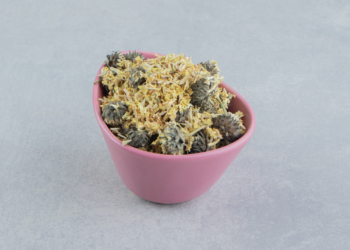 Hemp Flowers: Your Ultimate Guide to Choosing, Using, and Enjoying Them