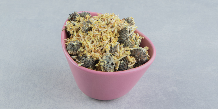 Hemp Flowers: Your Ultimate Guide to Choosing, Using, and Enjoying Them