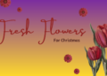 Flowers for Christmas