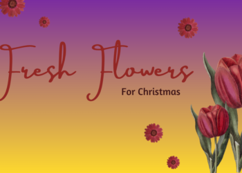 Flowers for Christmas