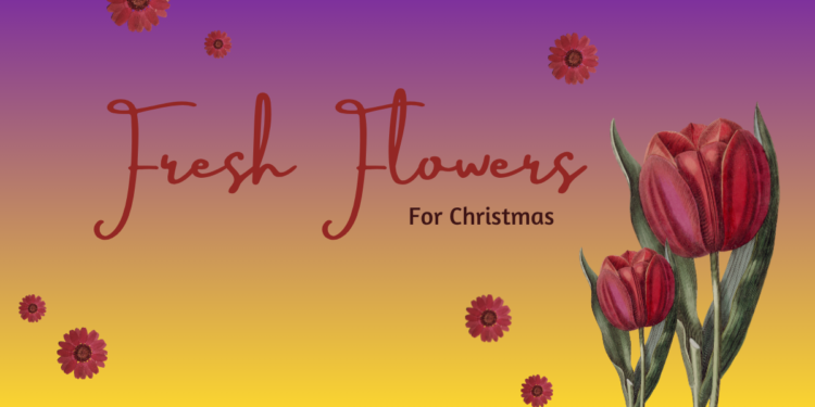 Flowers for Christmas
