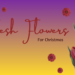 Flowers for Christmas