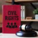 civil rights lawyer
