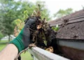 Roofing Considerations for Homes Surrounded by Dense Tree Cover