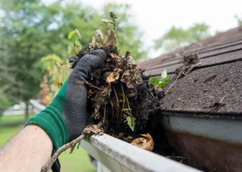 Roofing Considerations for Homes Surrounded by Dense Tree Cover