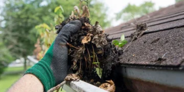 Roofing Considerations for Homes Surrounded by Dense Tree Cover