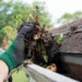 Roofing Considerations for Homes Surrounded by Dense Tree Cover