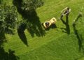The Importance of Garden Maintenance in Brisbane