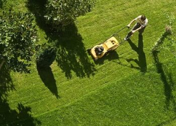 The Importance of Garden Maintenance in Brisbane