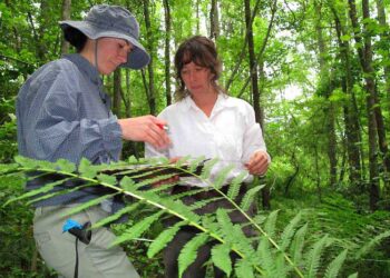 The Role of Fieldwork in a Biology Degree Program