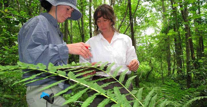 The Role of Fieldwork in a Biology Degree Program